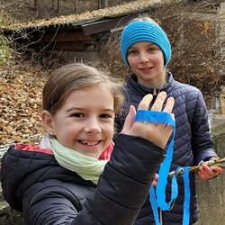 Team Gerlinde Krenn